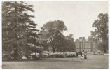Kew Gardens & Palace - Surrey