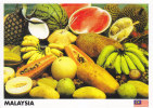 Postcard Malaysia Fruits Pineapple Watermelon Durian Papaya Banana - Malesia