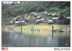 Postcard Malaysia Orang Asli Village Indigenous People - Non Classificati