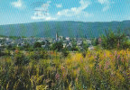 HERBEUMONT SUR SEMOIS / PANORAMA - Herbeumont