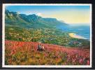 RB 823 - South Africa Postcard - Cape Peninsula Wild Watsonias On Lion's Head Overlooking Camps Bay - Afrique Du Sud