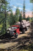 TRUCK HAULING PINE LOGS IN THE SCENIC PACIFIC NORTH-WEST, USA - Transporter & LKW