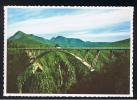 RB 824 - South Africa Postcard - Paul Sauer Bridge Storms River, Cape - Afrique Du Sud