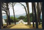 RB 824 - South Africa Postcard - Through The Pines Boschendal Groot Drakenstein - Afrique Du Sud