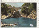 PO1571B# SVIZZERA - VALLE VERZASCA - LAVERTEZZO - PONTE DEI SALTI  No VG - Lavertezzo 