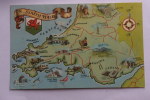 South Wales - Pays De Galles - Format 9x14 - Blason Griffon - Dauphin - Carte Géographique - Sonstige & Ohne Zuordnung