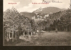 440. Germany Wernigerode - Schloss Mit Salzbergtal - Fr. Gottsched, Wernigerode - Druck V Louis Koch, Halberstadt - Wernigerode