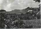 Brunnersberg Ob Balsthal - Bergwirtschaft Alpenblick             Ca. 1950 - Balsthal