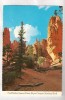 STATI UNITI BRYCE CANYON UTAH CARTOLINA FORMATO GRANDE NON VIAGGIATA - Bryce Canyon