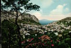 CARTOLINA :  CAPRI  Panorama En 1955 - Carpi