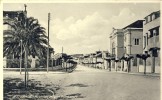 ESTREMOZ - Avenida Miguel Bombarda - Evora