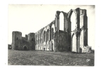 Cp, 85, Maillezais, Ruines De L'Ancienne Abbaye - Maillezais