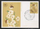 POLAND 1987 (22 AUG KATOWICE) LOWER SILESIA BEE KEEPERS DAYS SPECIAL CANCEL ON APIMONIA CARD Bees Insects Apiculture - Abeilles