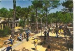 TERRAIN DE BOULES LES MATHES LA PALMYRE CAMPING"BONNE ANSE PLAGE" COLORISEE BELLE ANIMATION     REF 24897 - Petanca