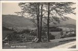 D-04924 Bad Liebenwerda - Panorama - Bad Liebenwerda