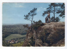 LUXEMBOURG BERDORF Point De Vue Du Plateau  Roitzbach Promenade B. - Berdorf