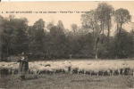 Cpa60 St Just En C Ferme Plon Les Moutons - Saint Just En Chaussee