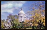 WASHINGTON - Capitol  - Circulated - Circulé - Gelaufen - 1956. - Washington DC