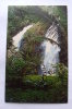 Tahiti - Double Cascade Du District De Faaone - C19680 - Polinesia Francesa