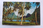 Tahiti - Moorea Bay - C8275 - Polinesia Francesa