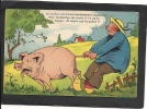 LE  COCHON  EST  UN  ANIMAL  EXTREMEMENT   VAGABOND  ....................... - Schweine