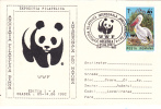 BEARS OURS, W.W.F, PELICAN 1992 SPECIAL COVER OBLITERATION CONCORDANTE ORADEA-ROMANIA - Ours