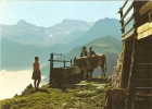 Auf Der Fluhweid Bei Adelboden - Adelboden