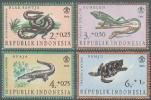 Indonesia 1966 Reptiles Reptile Bloodsucker Crocodile Turtle Animals Fauna Animal MNH Michel 558-561 Scott B203-B206 - Tortues