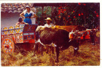C. RICA-2   : Typical Gaily Painted Oxcart - Costa Rica