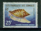 Coquillage - COTE FRANCAISE DES SOMALIS - Strombus Tricornis - N° 313 - 1958 - Gebraucht