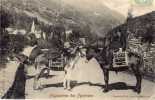 Pyrénées - Anes - Folklore - Régions Bagnère - - Andere