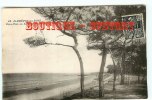 44 - SAINT BREVIN Les PINS - Plage + Sous Bois En Bordure De Mer - Dos Scané - Saint-Brevin-les-Pins