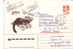 ANIMAL RODENTS,RONGEURS, MARTES 1985 REGISTRED COVER STATIONERY ENTIER POSTAL RUSSIA. - Roedores