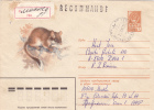 ANIMAL RODENTS,SHREW, 1980  REGISTRED COVER STATIONERY ENTIER POSTAL RUSSIA. - Rodents