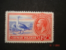 Cayman Is. 1935  K. George V   Booby Bird  1d     SG98   MH - Kaaiman Eilanden