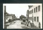 CPSM - Allemagne - RADOLFZELL ( Animée Automobile Autobus Ed. CAPARU) - Radolfzell