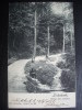LINKEBEEK - Vallée Des Artistes - Verzonden 1902  Envoyée - NELS - Lot AM 21 - Linkebeek