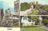 York - York