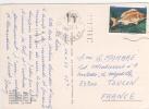 Beau Timbre : " Poisson " YVERT N° 1437 / Carte , Postcard Du  20/4/82 Pour La France - Lettres & Documents