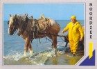 BELGIË / BELGIQUE : NOORDZEE :## Garnaalvisser Te Paard/Pêcheur De Crevettes à Cheval ##:OOSTDUINKERKE-Nieuwe Postkaart - Oostduinkerke