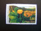 SAINT ST PIERRE ET MIQUELON NEUF** SANS CHARNIERE 1999 N°688  LA PLATE BIERE FLORE FLEUR - Unused Stamps