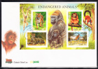 Ireland Scott #1156a FDC Souvenir Sheet  Endangered Animals: Cheetah, Oryx, Golden Lion Tamarin, Tiger - FDC