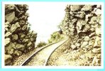 Lands Glorie - 445 - Spoorweg, Les Voies Ferrées, Railroads, Kongo, Congo - Artis Historia