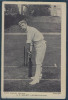 A. E. Knight Leicestershire, Animée, - Baseball