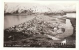 Unalaska AK Alaska, Aerial View Of Town, Dog, C1940s/50s Vintage Real Photo Postcard - Otros & Sin Clasificación