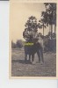 Photo14x8.5 Cms - Elefantes