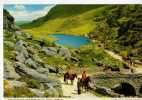 CPM          IRLANDE     GAP OF DUNLOE   1981          NEAR KILLARNEY      GROUPE AVEC CHEVAUX - Kerry