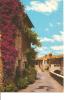 CP, 06, Haut-de-Cagnes-sur-Mer, Une Vieille Rue Pittoresque Et Fleurie, Vierge - Cagnes-sur-Mer