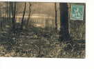 1914 Forêt De Soignes Auderghem Boitsfort Etang Des Enfants Noyés - Auderghem - Oudergem