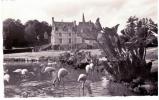 Parc Zoologique De Clères - Le Château Et Les Flamants Roses - Clères